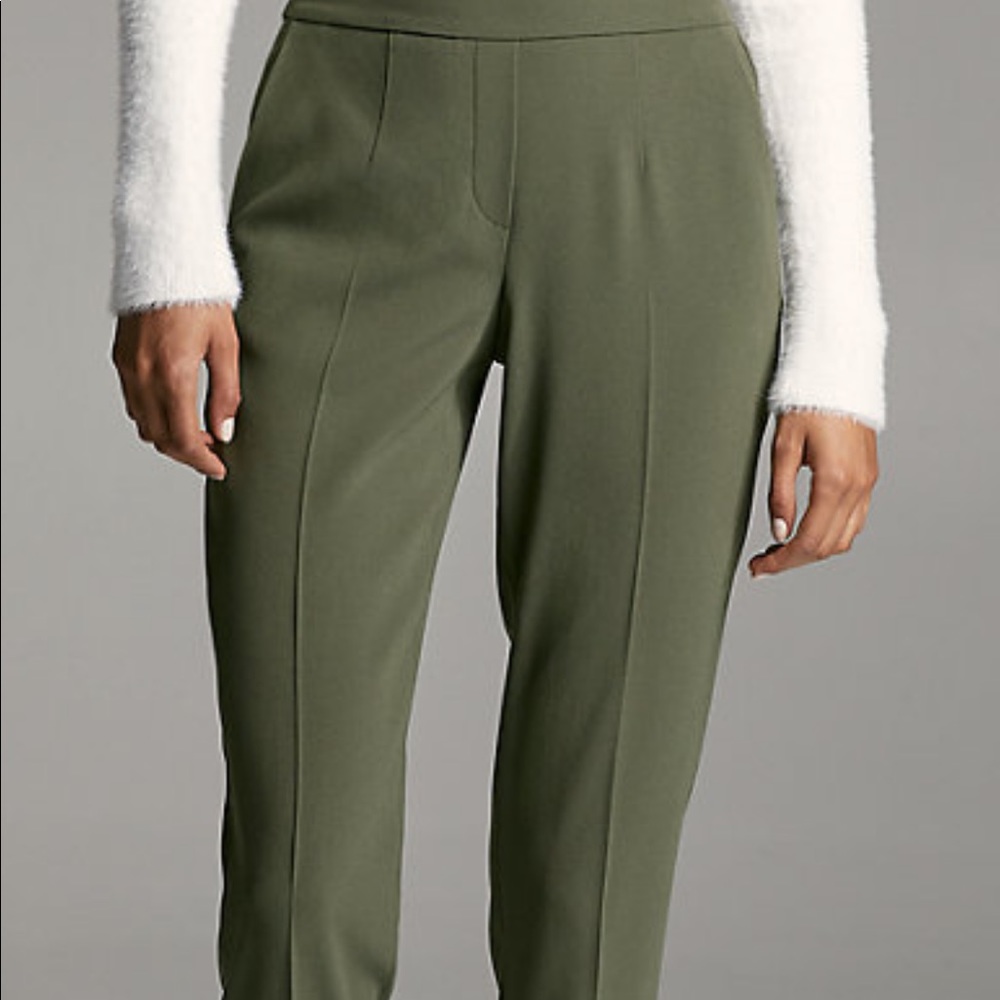 Aritzia Cohen Pant LONG in Mossy Stone